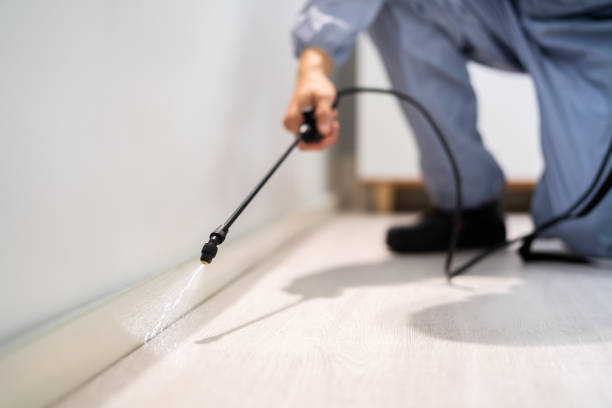 Bed Bug Pre-Treatment Preparation Assessment in Rossville