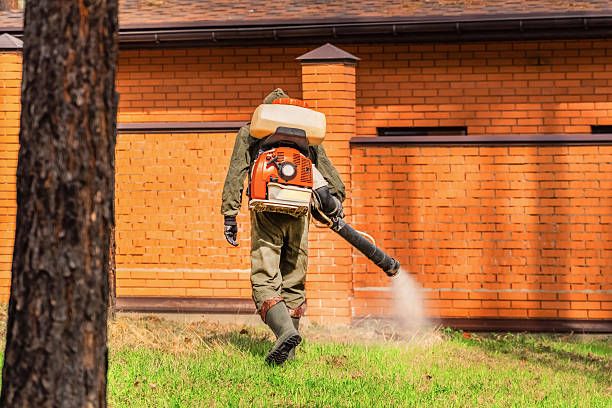 Bed Bug Clearance Verification and Documentation in Rossville